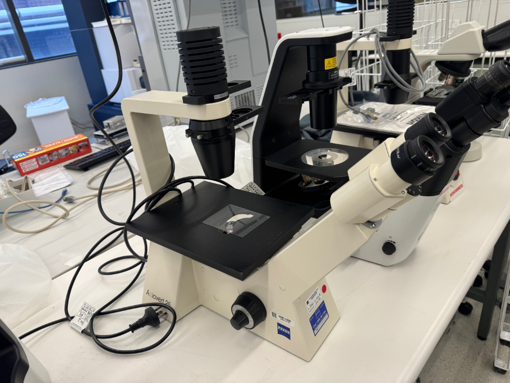 Image of Zeiss Axiovert 25 Inverted Microscope
